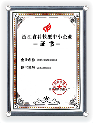 Certificat de Petite et Moyenne Entreprise en Science et Technologie de la Province du Zhejiang -1