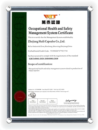 Certificat de Système de Gestion de la Santé et de la Sécurité au Travail